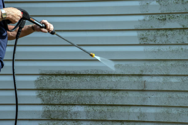 Best Sidewalk and Walkway Cleaning  in Bonner Springs, KS